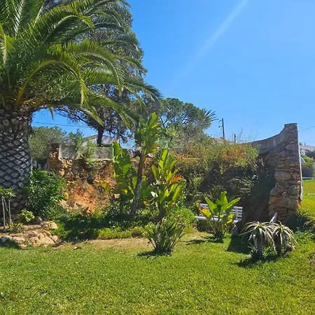 Quinta Do Lagar - Rural Retreat By The #4